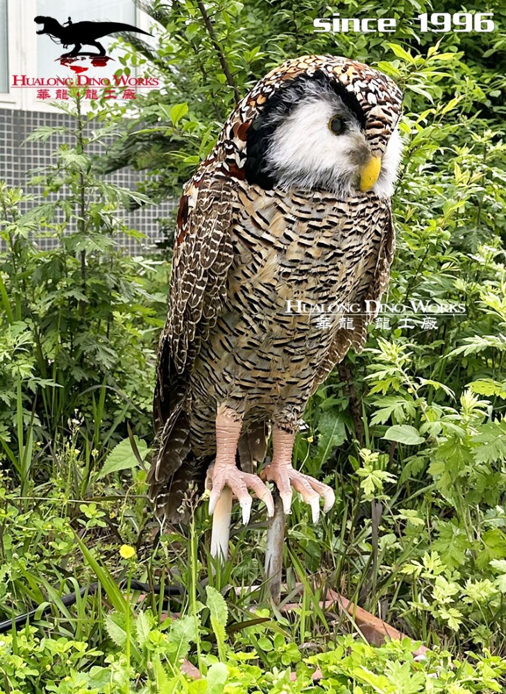 華龍科技 仿真動物鳥類模型